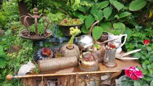 a group of potted plants on top of a table at Thalerhof in Roppen