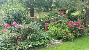 a garden filled with lots of different types of flowers at Thalerhof in Roppen