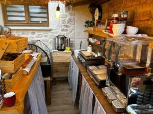 Les Chambres de Paulette à Theme LA JUNGLE ROOM的厨房或小厨房