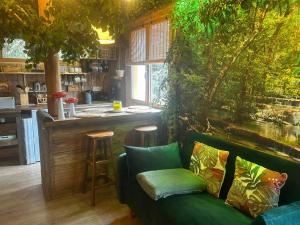 海滨圣玛丽Les Chambres de Paulette à Theme LA JUNGLE ROOM的带绿色沙发的客厅和厨房