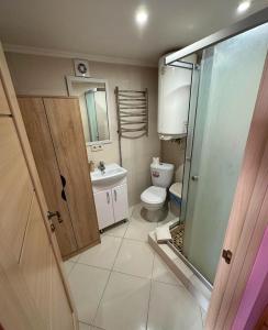 a bathroom with a shower and a toilet and a sink at Аpartment for Lady in Chernivtsi