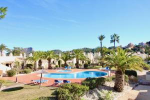 ein Resort mit Swimmingpool und Palmen in der Unterkunft Beautiful Three-Bedrooms El Rancho Villa in Atamaría