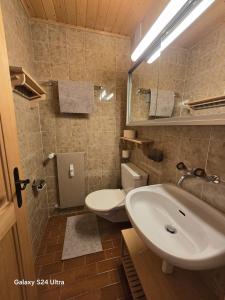 a bathroom with a sink and a toilet at Dahlia 9 in Val-d'Illiez