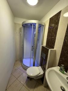 a bathroom with a shower and a toilet and a sink at North London A spacious 7 bedroom house accommodating up to 18 people complete with own gym and table tennis in London +56 photos