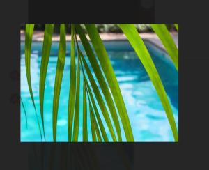 Bassein majutusasutuses Dreams Cap Cana Resort & Spa või selle lähedal