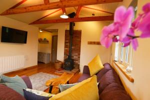 ein Wohnzimmer mit Couch und Kamin in der Unterkunft Sweet Pea Cottage, Amroth in Amroth