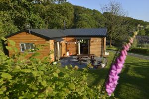 eine Holzhütte mit einem Picknicktisch im Hof in der Unterkunft Sweet Pea Cottage, Amroth in Amroth