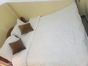 - un lit avec des draps blancs et 2 oreillers dans l'établissement CAJANUS INN KARATu, à Karatu