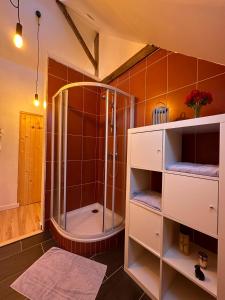 ein Badezimmer mit einer Dusche und einem Glasgehege in der Unterkunft Ty Nevé in Saint-Thuriau