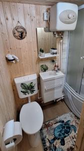 a bathroom with a toilet and a sink at Căsuța Sara- the story of nature in Plopi
