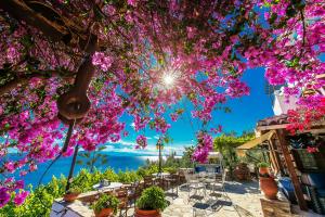 a view of the ocean from a garden with pink flowers at Pounda Paou in Metókhion