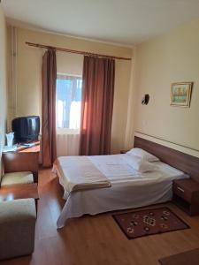 Gallery image of Pensiunea Valea Ursului in Bascov +50 photos