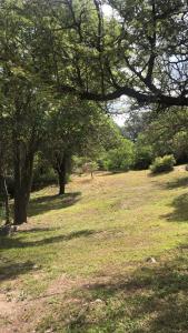 Příroda nedaleko prázdninového domu + 3 fotografie