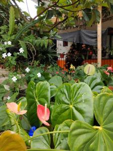 Φωτογραφία από το άλμπουμ του Ecohotel la Floresta σε Ginebra +29 φωτογραφίες