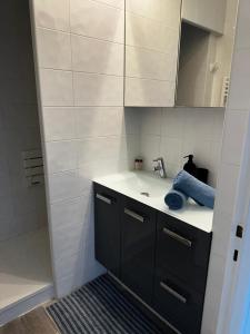 un bagno con lavandino e doccia di Le Pic D'Etretat a Étretat Altre 9 foto