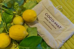 a bunch of lemons on a tree with a bag at Pounda Paou in Metókhion