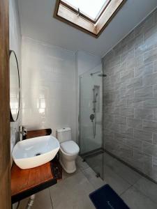 a bathroom with a sink and a toilet and a shower at Antu relajo y natura in Curacautín