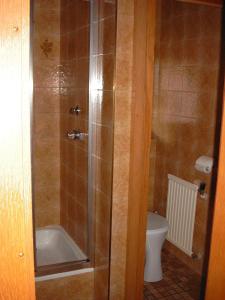 Koupelna v ubytování Ferienwohnung Ski-Hans