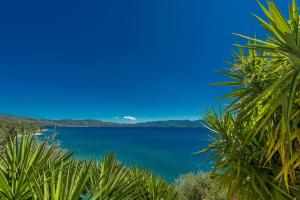 a view of a lake through the palm trees at Pounda Paou in Metókhion