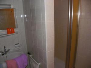 Koupelna v ubytování Ferienwohnung Ski-Hans