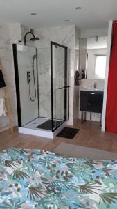 a bathroom with a shower and a sink at Carol California in Chevigny-Saint-Sauveur +7 photos