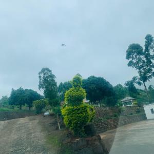 Κήπος έξω από το Elangeni Lodge