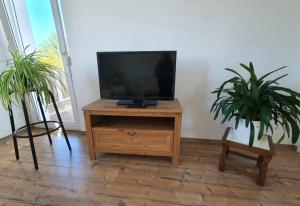 a television on a wooden stand in a room with two plants at Pension Katja in Zweibrücken