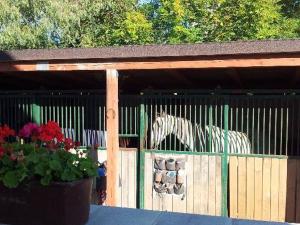 Fotografie z fotogalerie ubytování Farm Stay NH Stables v destinaci Nýřany