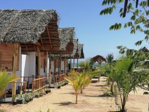 Zahrada ubytování Amwaj Blue Cabana Arugambay