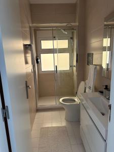 a bathroom with a shower and a toilet and a sink at Amadora Flat 3 in Amadora +8 photos