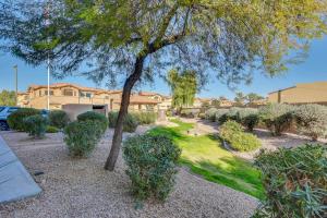 a yard with a tree and a house at 3 Mi to Dtwn Mesa Townhome with Patio in Mesa