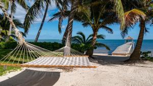 Příroda nedaleko prázdninového domu