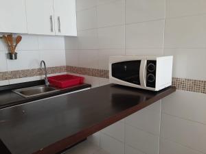 eine Mikrowelle auf einer Theke neben einer Spüle in der Unterkunft Departamento portal del mar in La Serena
