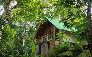 ein Haus mit einem grünen Dach im Wald in der Unterkunft Alojamiento rural Ecoparque La Motilona Paicol, Huila - Cabaña la Motilona in Paicol