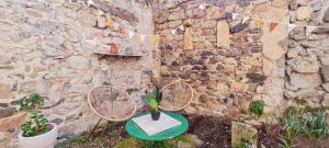 Vonkajšia záhrada v ubytovaní Maison charmante à Mauzun avec jardin et patio fleuri