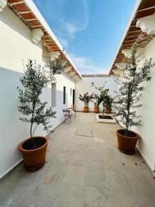a courtyard with potted trees in pots on a building at Casa Limones Hermosa casa en el corazon de TX 4px in Tequisquiapan