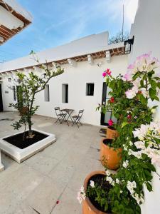 a patio with potted plants and a white building at Casa Limones Hermosa casa en el corazon de TX 4px in Tequisquiapan