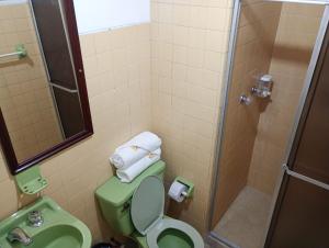 Hotel Alpino Armenia的一间浴室
