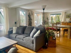 een woonkamer met een bank en een eetkamer bij Chalet du lac long in Saint Come +13 foto's