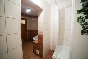 Vonios kambarys apgyvendinimo įstaigoje Zajazd Relax