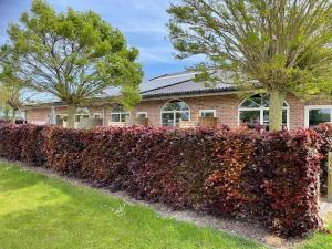 a hedge of red flowers in front of a house at Apartment in Groede near the Beach in Groede