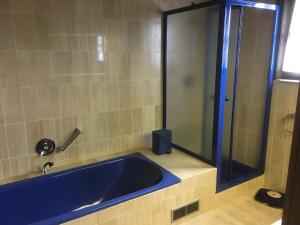 a bathroom with a blue tub and a shower at Holiday Home in Groede near Sandy Beach in Groede