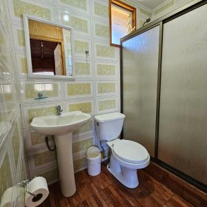 un baño con inodoro y lavabo en Cabaña Los Maquis, en Licán Ray