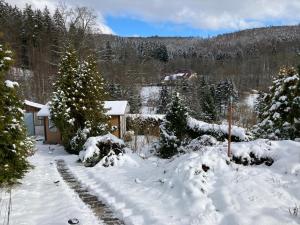 a snow covered yard with a house and trees at Kleines Haus am Wald in Benshausen