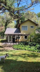 Κήπος έξω από το Casa Cariló - Pet friendly, Cambicha Encantada