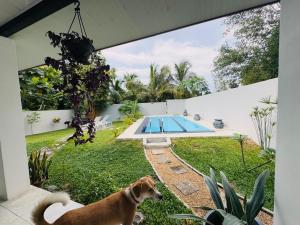 Φωτογραφία από το άλμπουμ του Gone4Coastal σε Hikkaduwa