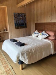 a bedroom with a large bed with pillows on it at Alojamiento y Desayuno Privado de Lujo C1 in Bucalemu