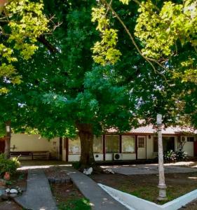 Κήπος έξω από το El Viejo Roble