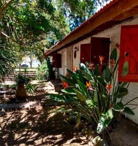 Κήπος έξω από το El Viejo Roble