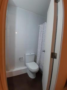 a bathroom with a white toilet and a shower at Departamento Equipado 3 Personas, 2 Habitaciones in Temuco +4 photos